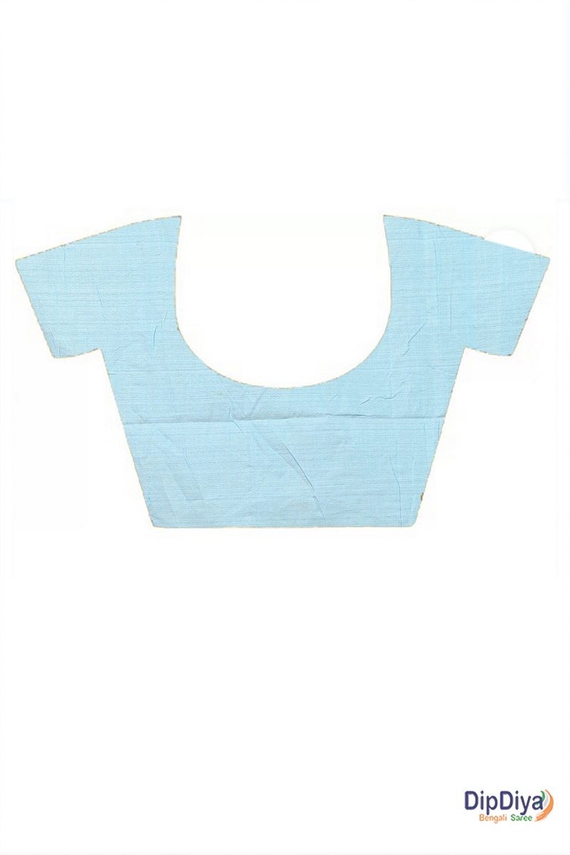 Sky Blue Cotton Blended Paraya Embroidery Handloom saree (301)